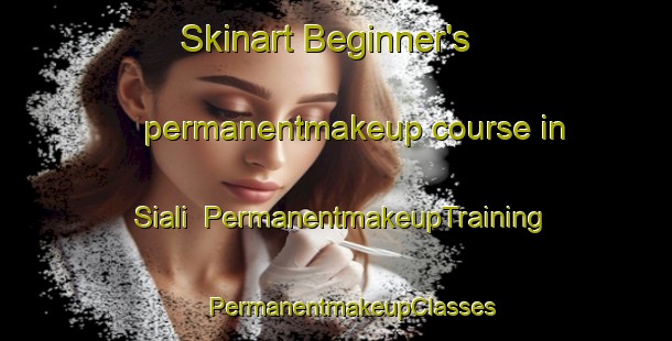 Skinart Beginner's permanentmakeup course in Siali | #PermanentmakeupTraining #PermanentmakeupClasses #SkinartTraining-Bangladesh