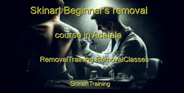 Skinart Beginner's removal course in Adatala | #RemovalTraining #RemovalClasses #SkinartTraining-Bangladesh