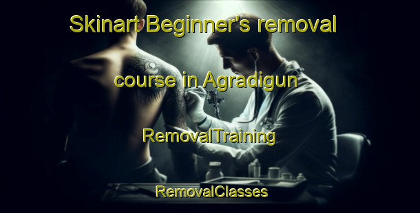 Skinart Beginner's removal course in Agradigun | RemovalTraining | RemovalClasses | SkinartTraining-Bangladesh