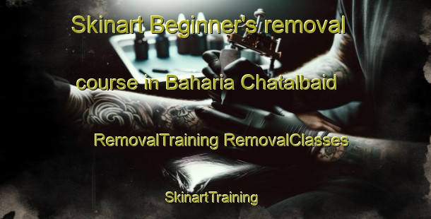 Skinart Beginner's removal course in Baharia Chatalbaid | #RemovalTraining #RemovalClasses #SkinartTraining-Bangladesh