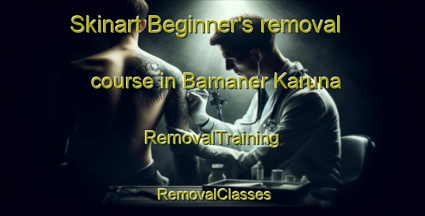 Skinart Beginner's removal course in Bamaner Karuna | RemovalTraining | RemovalClasses | SkinartTraining-Bangladesh
