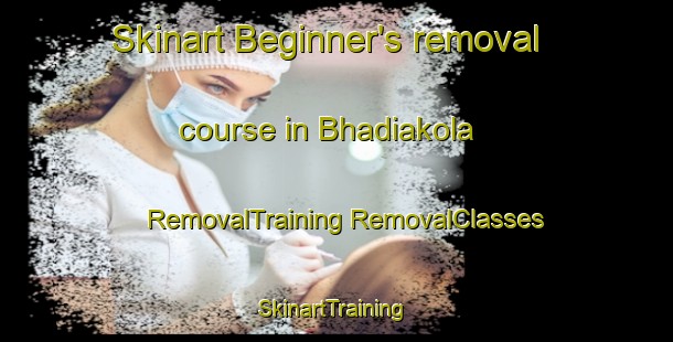 Skinart Beginner's removal course in Bhadiakola | #RemovalTraining #RemovalClasses #SkinartTraining-Bangladesh