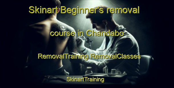 Skinart Beginner's removal course in Chandabo | #RemovalTraining #RemovalClasses #SkinartTraining-Bangladesh