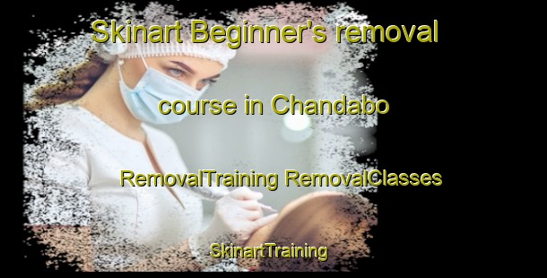 Skinart Beginner's removal course in Chandabo | #RemovalTraining #RemovalClasses #SkinartTraining-Bangladesh