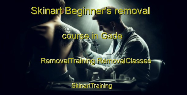 Skinart Beginner's removal course in Gade | #RemovalTraining #RemovalClasses #SkinartTraining-Bangladesh