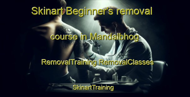 Skinart Beginner's removal course in Mandalbhog | #RemovalTraining #RemovalClasses #SkinartTraining-Bangladesh