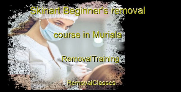 Skinart Beginner's removal course in Muriala | RemovalTraining | RemovalClasses | SkinartTraining-Bangladesh