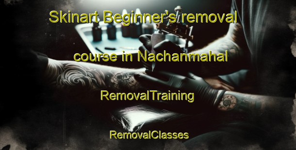 Skinart Beginner's removal course in Nachanmahal | RemovalTraining | RemovalClasses | SkinartTraining-Bangladesh