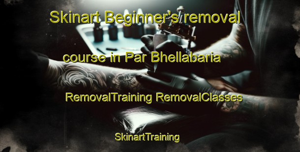 Skinart Beginner's removal course in Par Bhellabaria | #RemovalTraining #RemovalClasses #SkinartTraining-Bangladesh