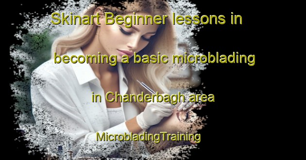 Skinart Beginner lessons in becoming a basic microblading in Chanderbagh area | MicrobladingTraining | MicrobladingClasses | SkinartTraining-Bangladesh