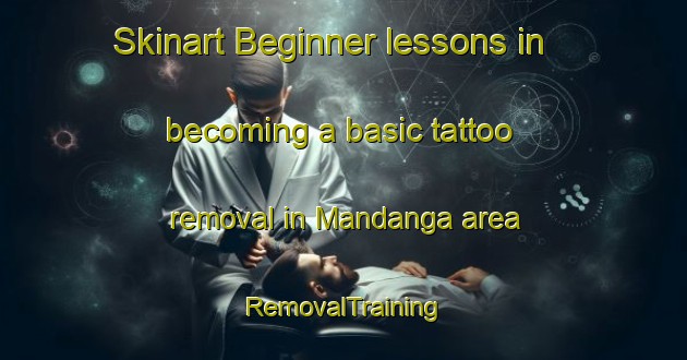 Skinart Beginner lessons in becoming a basic tattoo removal in Mandanga area | RemovalTraining | RemovalClasses | SkinartTraining-Bangladesh