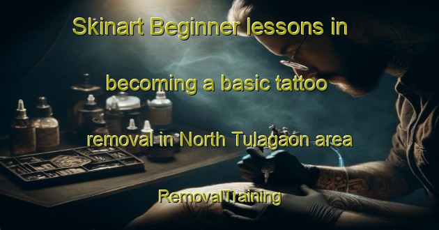 Skinart Beginner lessons in becoming a basic tattoo removal in North Tulagaon area | RemovalTraining | RemovalClasses | SkinartTraining-Bangladesh