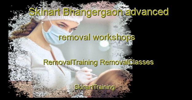 Skinart Bhangergaon advanced removal workshops | #RemovalTraining #RemovalClasses #SkinartTraining-Bangladesh