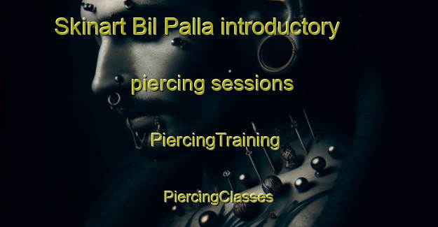 Skinart Bil Palla introductory piercing sessions | #PiercingTraining #PiercingClasses #SkinartTraining-Bangladesh