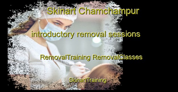 Skinart Chamchampur introductory removal sessions | #RemovalTraining #RemovalClasses #SkinartTraining-Bangladesh