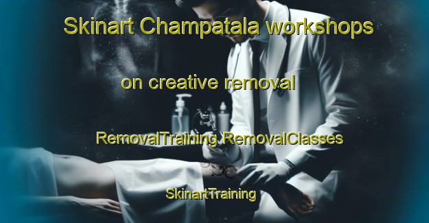 Skinart Champatala workshops on creative removal | #RemovalTraining #RemovalClasses #SkinartTraining-Bangladesh