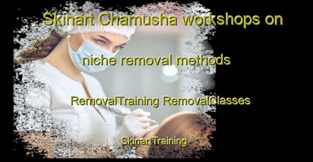 Skinart Chamusha workshops on niche removal methods | #RemovalTraining #RemovalClasses #SkinartTraining-Bangladesh