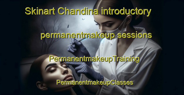 Skinart Chandina introductory permanentmakeup sessions | PermanentmakeupTraining | PermanentmakeupClasses | SkinartTraining-Bangladesh