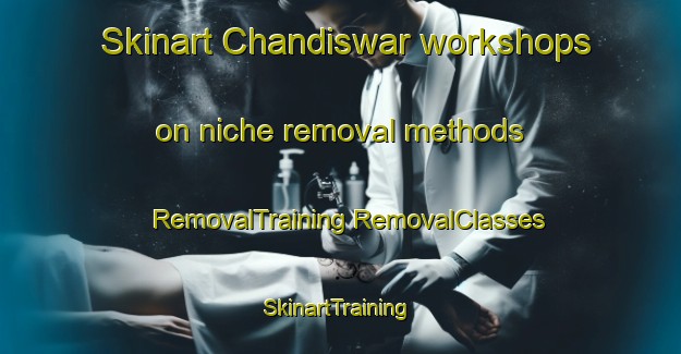 Skinart Chandiswar workshops on niche removal methods | #RemovalTraining #RemovalClasses #SkinartTraining-Bangladesh