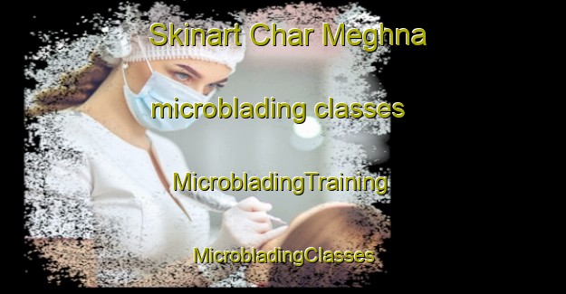 Skinart Char Meghna microblading classes | #MicrobladingTraining #MicrobladingClasses #SkinartTraining-Bangladesh