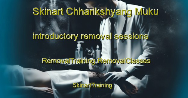 Skinart Chharikshyang Muku introductory removal sessions | #RemovalTraining #RemovalClasses #SkinartTraining-Bangladesh