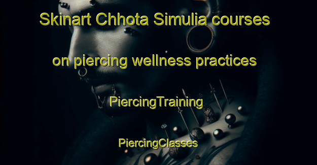 Skinart Chhota Simulia courses on piercing wellness practices | #PiercingTraining #PiercingClasses #SkinartTraining-Bangladesh