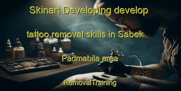 Skinart Developing develop tattoo removal skills in Sabek Padmabila area | RemovalTraining | RemovalClasses | SkinartTraining-Bangladesh