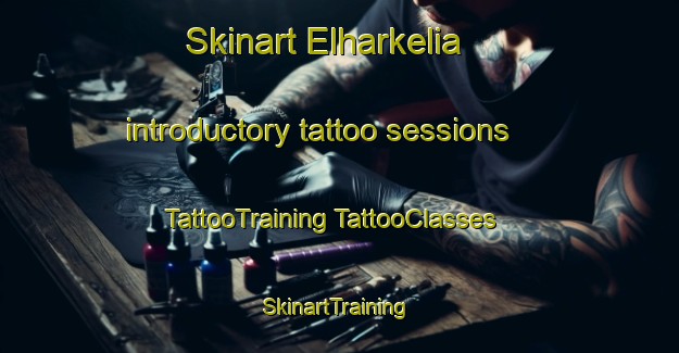 Skinart Elharkelia introductory tattoo sessions | #TattooTraining #TattooClasses #SkinartTraining-Bangladesh