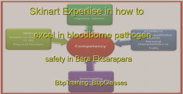 Skinart Expertise in how to excel in bloodborne pathogen safety in Bara Eksarapara | BbpTraining | BbpClasses | SkinartTraining-Bangladesh