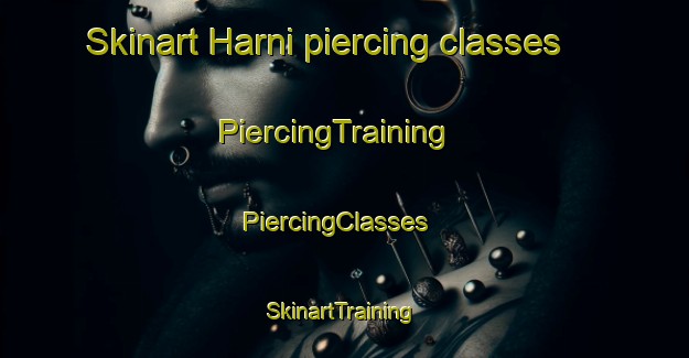 Skinart Harni piercing classes | PiercingTraining | PiercingClasses | SkinartTraining-Bangladesh