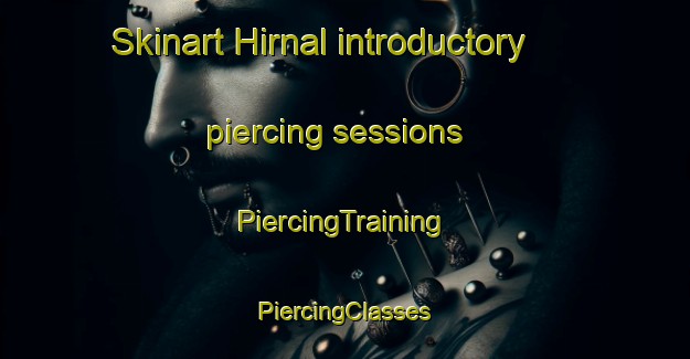 Skinart Hirnal introductory piercing sessions | #PiercingTraining #PiercingClasses #SkinartTraining-Bangladesh