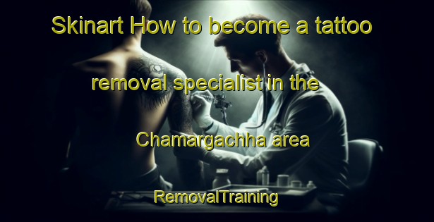 Skinart How to become a tattoo removal specialist in the Chamargachha area | RemovalTraining | RemovalClasses | SkinartTraining-Bangladesh