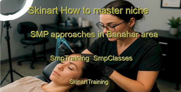 Skinart How to master niche SMP approaches in Banahar area | SmpTraining | SmpClasses | SkinartTraining-Bangladesh
