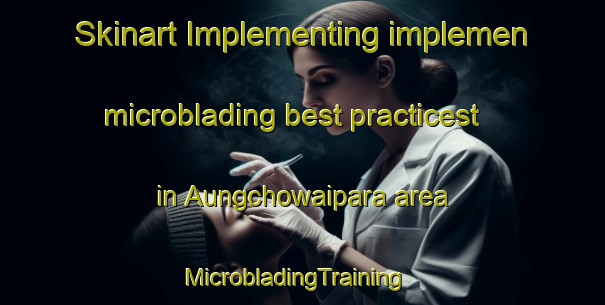 Skinart Implementing implemen microblading best practicest in Aungchowaipara area | MicrobladingTraining | MicrobladingClasses | SkinartTraining-Bangladesh