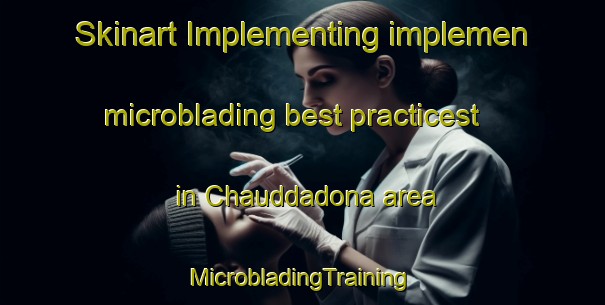 Skinart Implementing implemen microblading best practicest in Chauddadona area | #MicrobladingTraining #MicrobladingClasses #SkinartTraining-Bangladesh