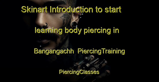 Skinart Introduction to start learning body piercing in Bangangachh | #PiercingTraining #PiercingClasses #SkinartTraining-Bangladesh