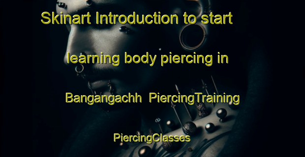 Skinart Introduction to start learning body piercing in Bangangachh | #PiercingTraining #PiercingClasses #SkinartTraining-Bangladesh