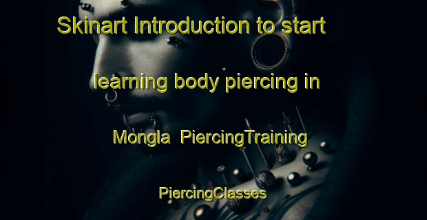 Skinart Introduction to start learning body piercing in Mongla | #PiercingTraining #PiercingClasses #SkinartTraining-Bangladesh