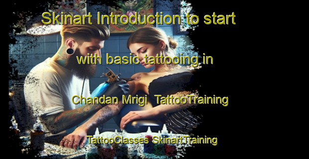 Skinart Introduction to start with basic tattooing in Chandan Mrigi | #TattooTraining #TattooClasses #SkinartTraining-Bangladesh