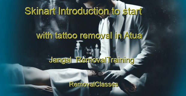 Skinart Introduction to start with tattoo removal in Atua Jangal | RemovalTraining | RemovalClasses | SkinartTraining-Bangladesh