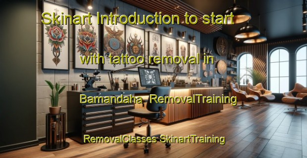 Skinart Introduction to start with tattoo removal in Bamandaha | #RemovalTraining #RemovalClasses #SkinartTraining-Bangladesh