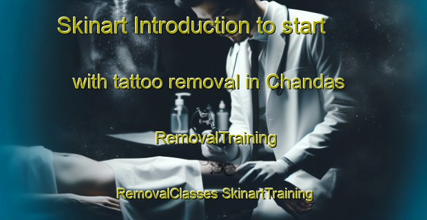 Skinart Introduction to start with tattoo removal in Chandas | #RemovalTraining #RemovalClasses #SkinartTraining-Bangladesh