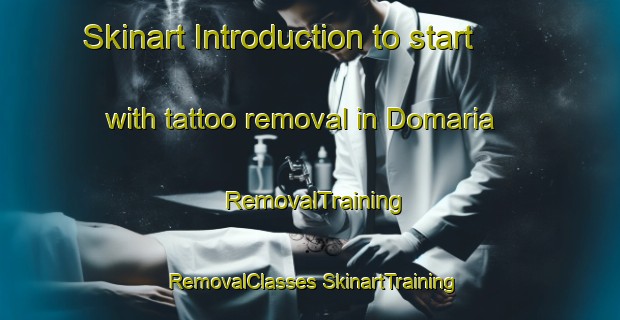 Skinart Introduction to start with tattoo removal in Domaria | #RemovalTraining #RemovalClasses #SkinartTraining-Bangladesh