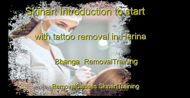 Skinart Introduction to start with tattoo removal in Herina Bhanga | #RemovalTraining #RemovalClasses #SkinartTraining-Bangladesh