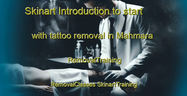 Skinart Introduction to start with tattoo removal in Mahmara | #RemovalTraining #RemovalClasses #SkinartTraining-Bangladesh