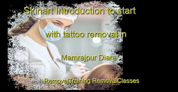 Skinart Introduction to start with tattoo removal in Mamrajpur Diara | #RemovalTraining #RemovalClasses #SkinartTraining-Bangladesh