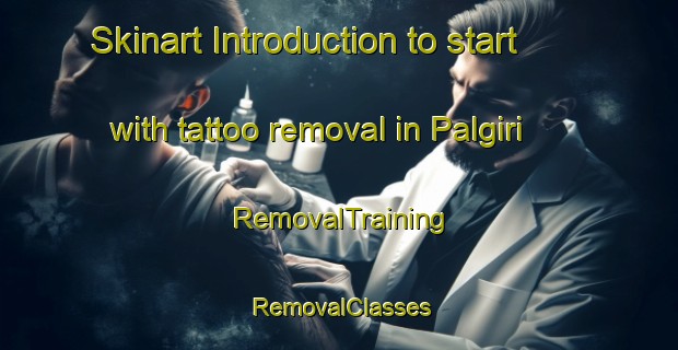 Skinart Introduction to start with tattoo removal in Palgiri | RemovalTraining | RemovalClasses | SkinartTraining-Bangladesh