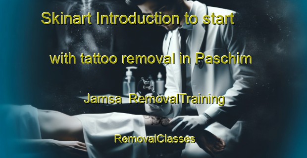 Skinart Introduction to start with tattoo removal in Paschim Jamsa | RemovalTraining | RemovalClasses | SkinartTraining-Bangladesh