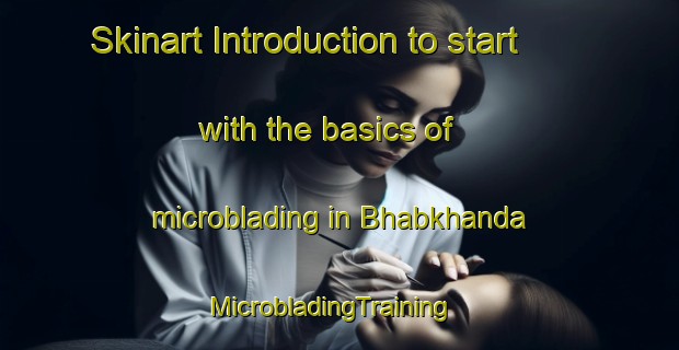 Skinart Introduction to start with the basics of microblading in Bhabkhanda | MicrobladingTraining | MicrobladingClasses | SkinartTraining-Bangladesh