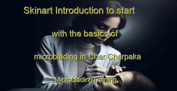 Skinart Introduction to start with the basics of microblading in Char Charpaka | MicrobladingTraining | MicrobladingClasses | SkinartTraining-Bangladesh